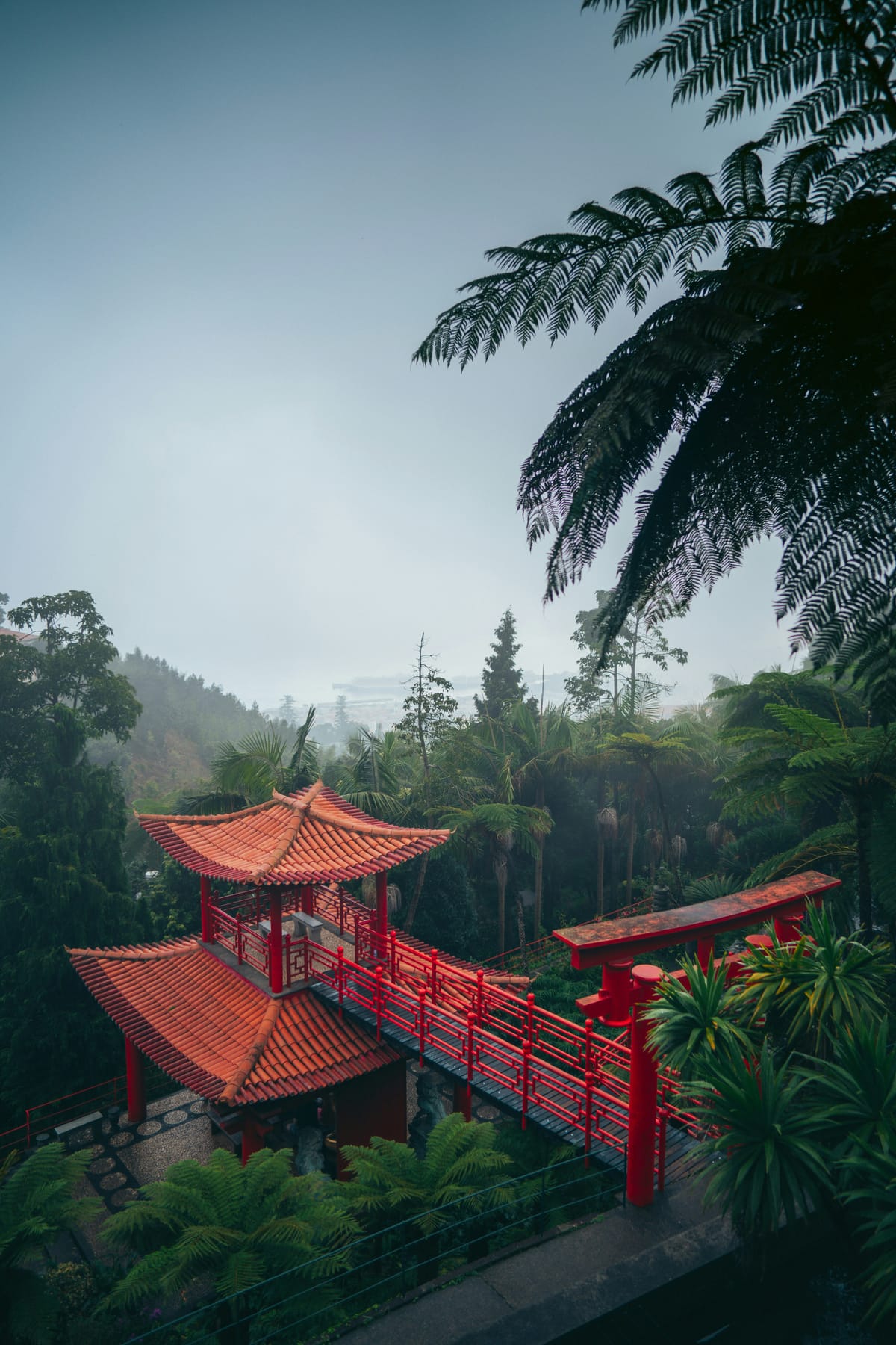 The Tropical Garden: Funchal's Lush Green Haven